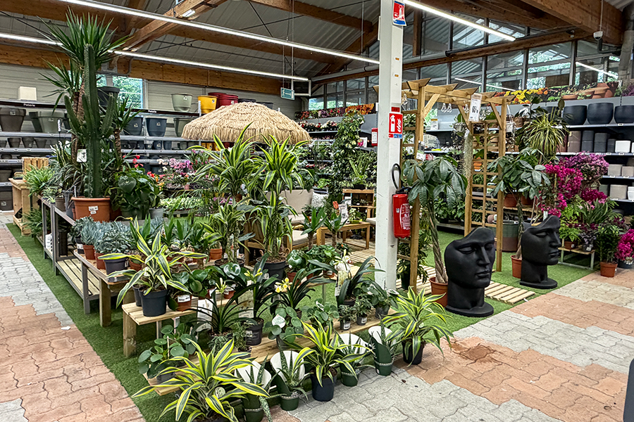 exposition-fleurs-agencement-magasin-jardinerie-efi-concept