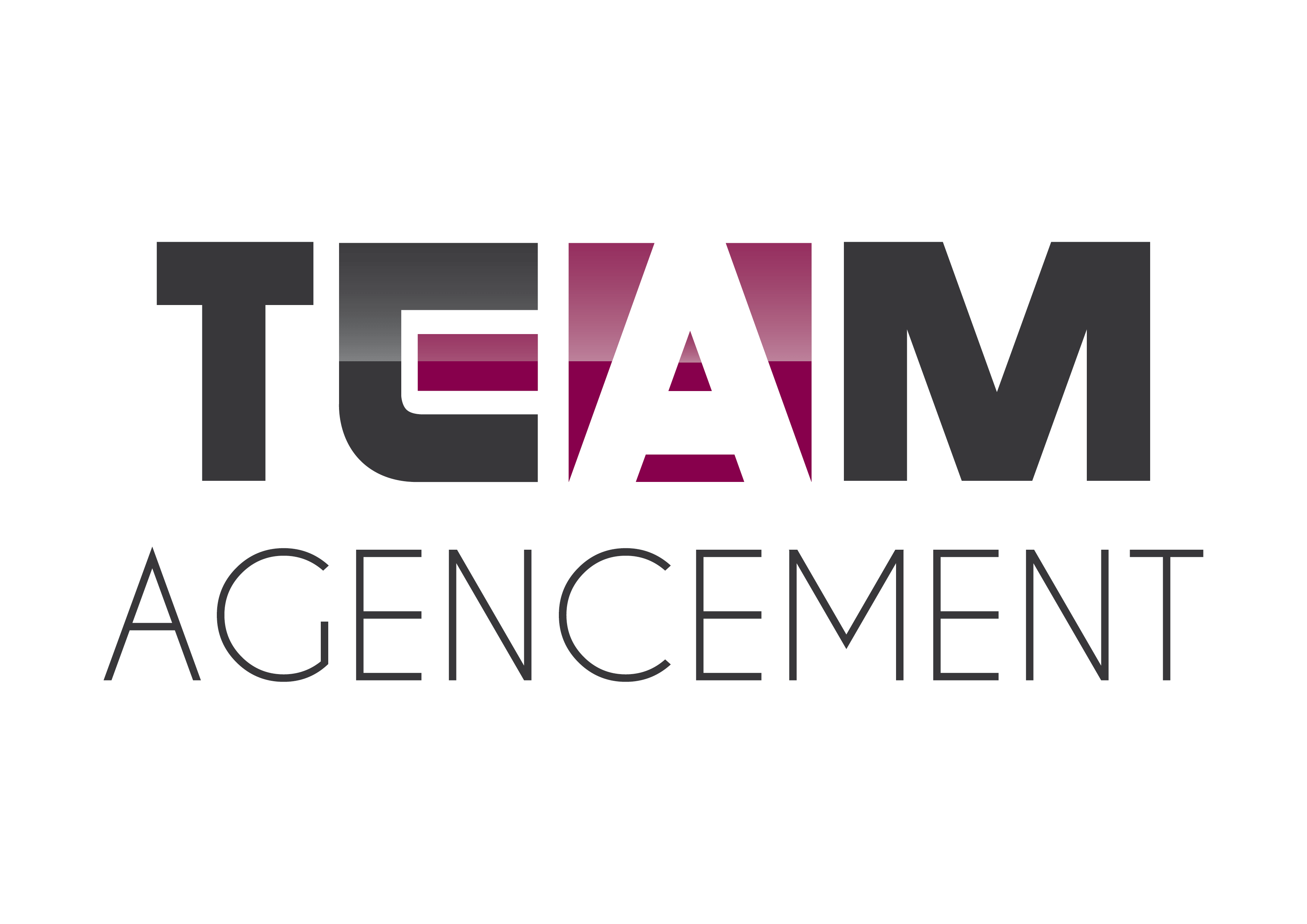 logo-team-agencement