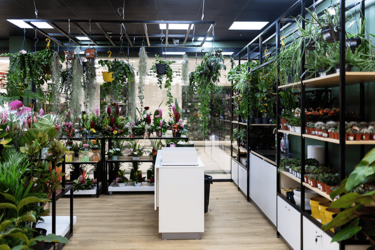 acceuil-fleuriste-agencement-magasin-de-fleurs-efi-concept