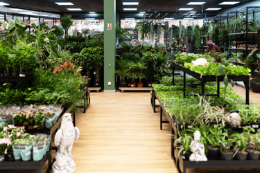 boutique-plantes-agencement-magasin-de-fleurs-efi-concept