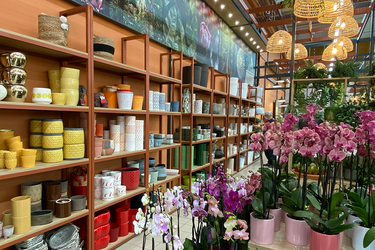 décoration-agencement-magasin-jardinerie-motoculture-efi-concept
