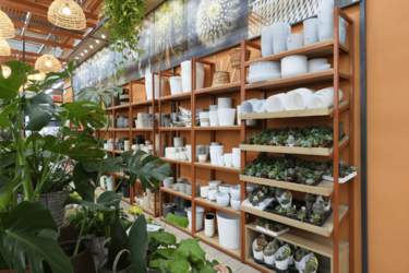 etagere-murale-agencement-magasin-de-fleurs-efi-concept