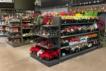 gondole-tête-de-gondole-agencement-de-magasin-discount-efi-concept