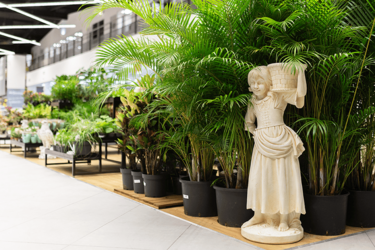 plantes-agencement-magasin-de-fleurs-efi-concept