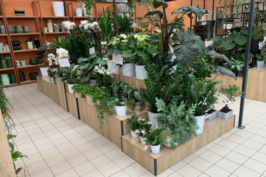 podium-bois-agencement-magasin-de-fleurs-efi-concept