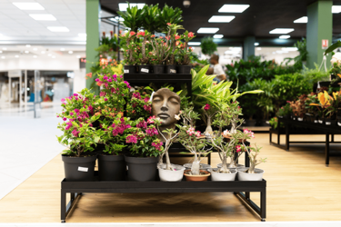 podium-plantes-agencement-magasin-de-fleurs-efi-concept