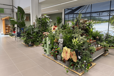 podium-plantes-agencement-magasin-motoculture-jardinerie-efi-concept