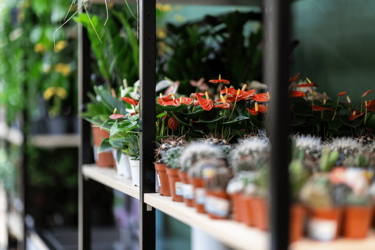 support-bois-agencement-magasin-de-fleurs-efi-concept