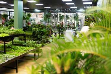 support-noir-agencement-magasin-de-fleurs-efi-concept